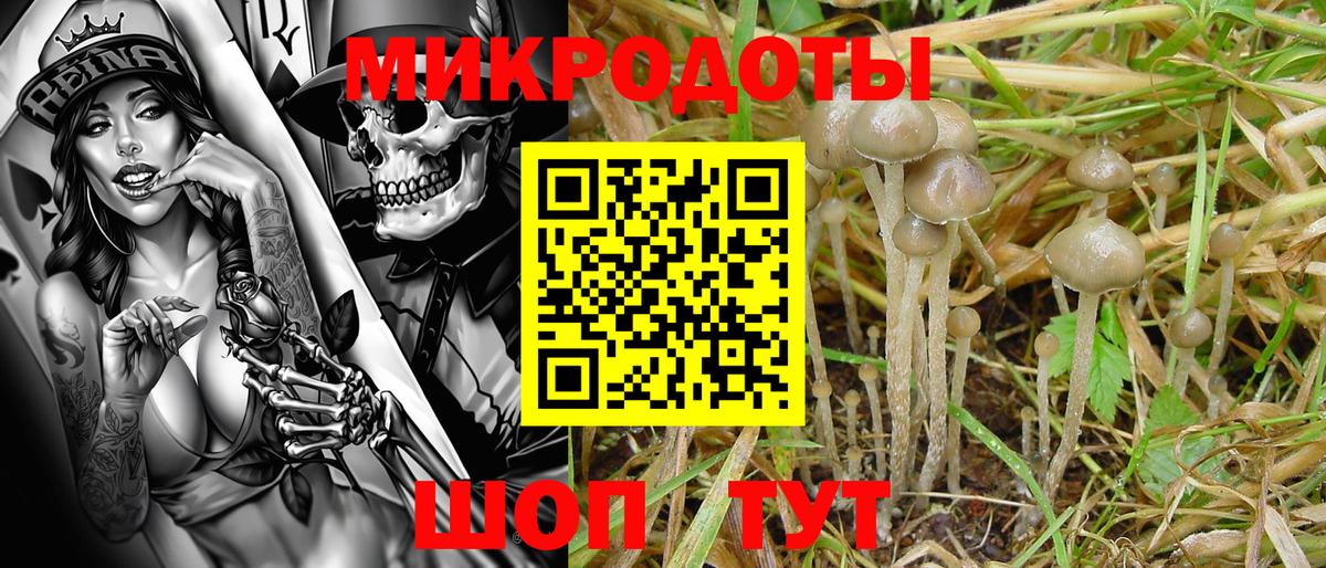 Галлюциногенные грибы MAGIC MUSHROOMS Шадринск