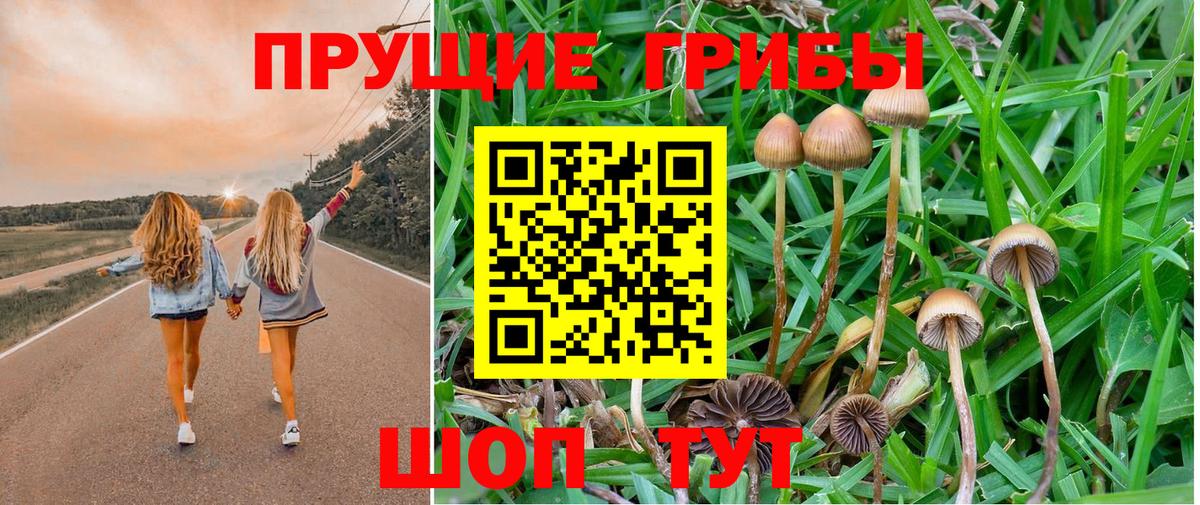 Галлюциногенные грибы ЛСД  Вход с VPN  цены   Шадринск 